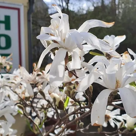 Bornholmer Hof Im Prenzlauer Berg Hotel