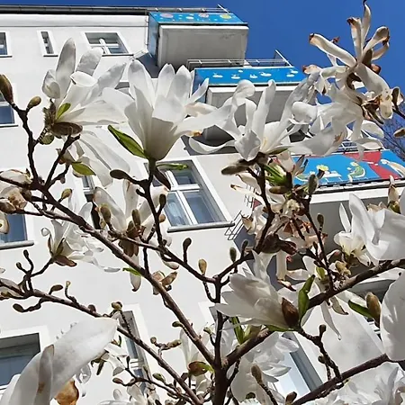 Hotel Bornholmer Hof Im Prenzlauer Berg 3*