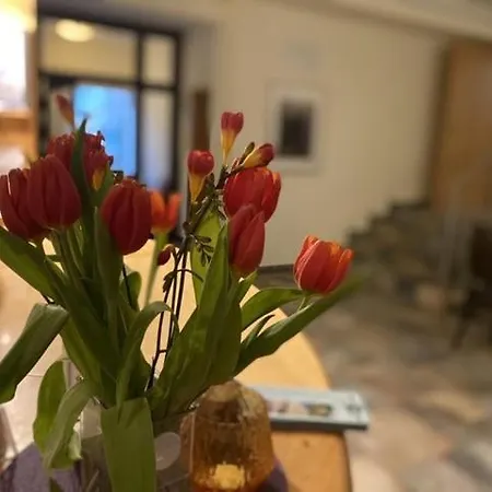 Otel Bornholmer Hof Im Prenzlauer Berg Berlin