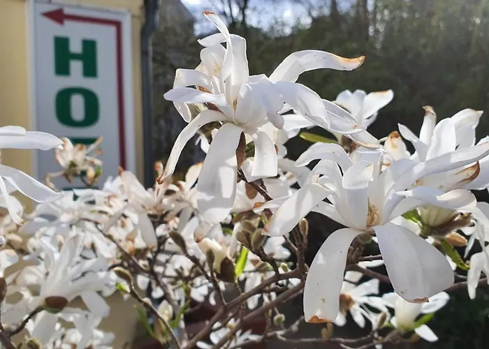 Bornholmer Hof Im Prenzlauer Berg Szálloda